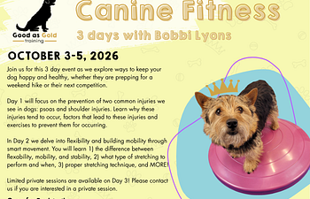 Book Bobbi Lyons Fitness Workshop (2 days) Working Spot