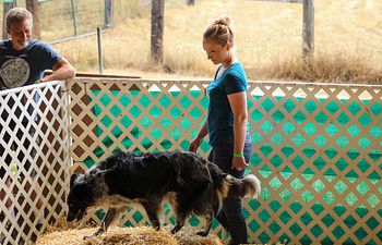 Book Master Level Private Barn Hunt Lesson - 55 minute