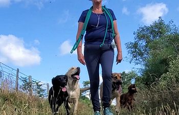 Book Group Training Walk & Socialisation  (30 - 40 mins)