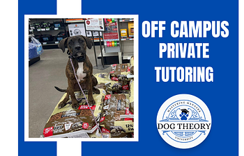 Book Off Campus Private Tutoring