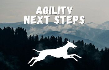 Book Agility Next Steps