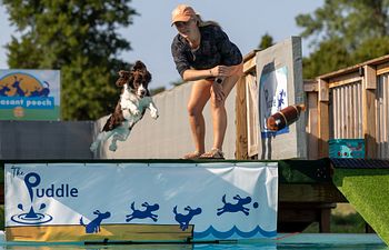 Book Private Dock Diving Lesson 1 Dog