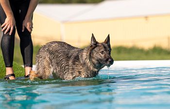 Book One-on-one Swim Lesson 
