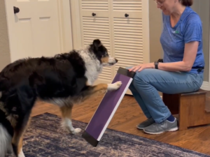 Book Nail Care the Fun Way