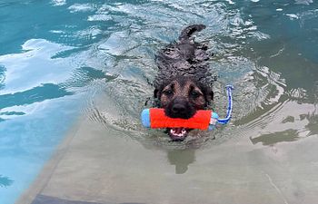 Book Pool Rental (60 Minutes)