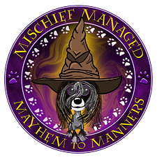 Mischief Managed Mayhem to Manners