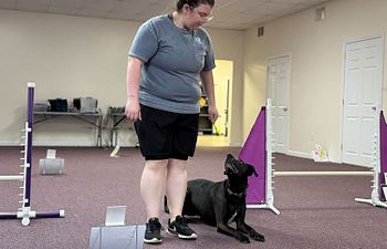 Book Exeter Ring Rental