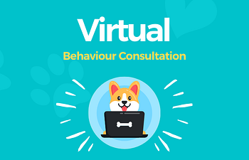 Book Virtual Behaviour Consultation - One Hour