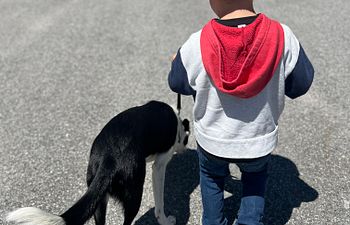 Book Kids & Canines -Pup Up Workshop