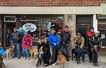 Book "Walking in Unison" Leash Clinic