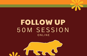 Book 2. Follow Up Session - Online 💻
