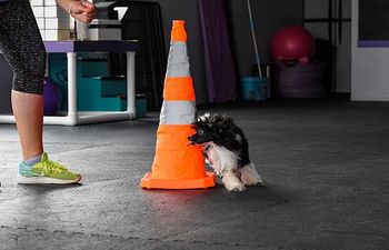 Book Agility: Introduction