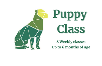 Book Puppy Class