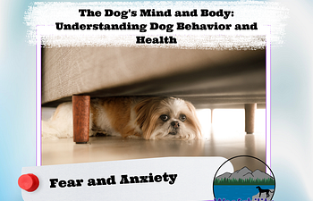 Book The Dog's Mind and Body: Fear and Anxiety in Dogs 