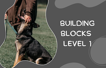 Book Building Blocks Level 1