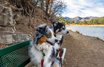 Book Wilderness Walks