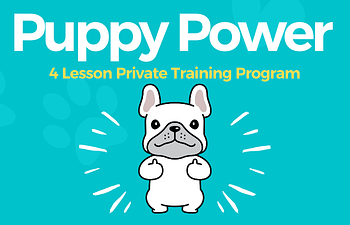 Book Puppy Power Private Training Program