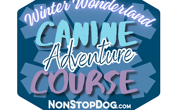 Book Winter Wonderland Canine Adventure Course 2:30pm