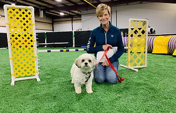 Book Agility Competition Foundation with Gracie Huffman (Monthly Recurring, 4 Weeks in March)