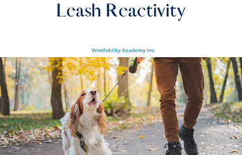 Book The Dog's Mind and Body- Leash reactivity 
