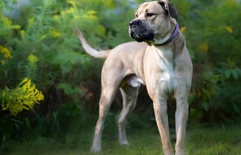 Book 6 Lesson Package