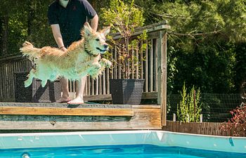 Book Basic Dock Diving with Rick (Saturdays at 9:00 am)