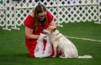 Book Workshop | Canine Freestyle with Jessa and Sheyla