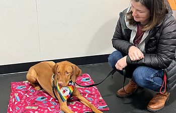 Book Advanced Manners Class