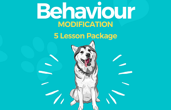 Book 5 Lesson Behaviour Package