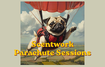 Book Scentwork Parachute Sessions