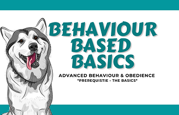 Book St. Albert - Behaviour Based Basics