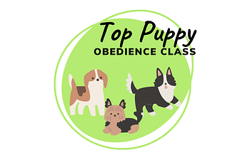 Book Top Puppy Program Part 2