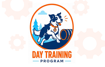 Book Day Training Program