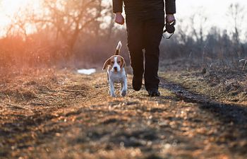 Book Intermediate | Distance Skills