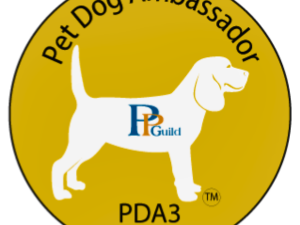 Book Community Skills - PDA Level 3