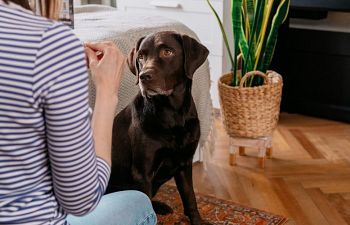 Book Private Training (In-Home)