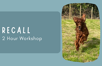 Book Workshop: Recall