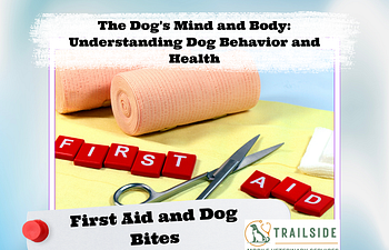 Book The Dog's Mind and Body: First Aid & Dog Bites 