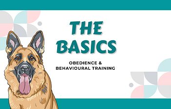 Book 3 - Devon - The Basics 