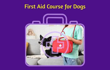 Book Pet First Aid