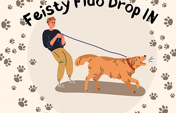 Book Feisty Fido Drop In