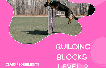 Book Building Blocks Level 2