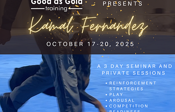 Book Kamal Fernandez Workshop Day 1 & 3 - Auditor