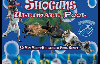 Book 30 Min Multi-Household Pool Rental