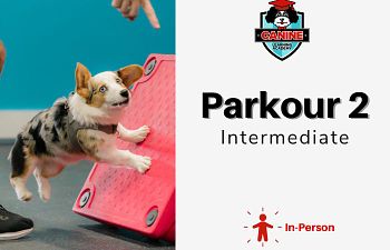 Book Parkour 2: Intermediate 