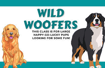 Book [01] Devon Socials - Wild Woofers