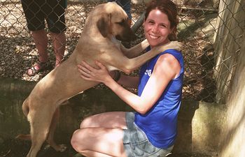 Book Puppy & Rescue Assessment 